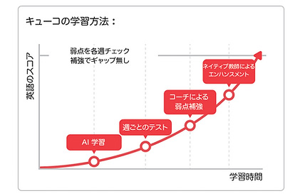 FLIP学習を使った学習方法